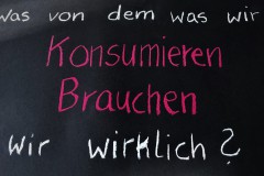 Spruch_Was-brauchen-wir-wirklich
